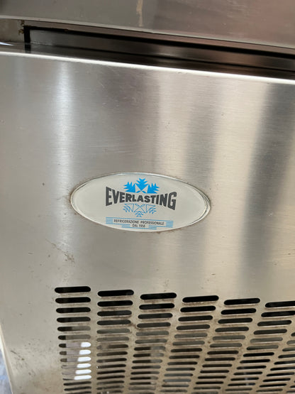 Everlasting Tray Blast Chiller/Shock Freezer